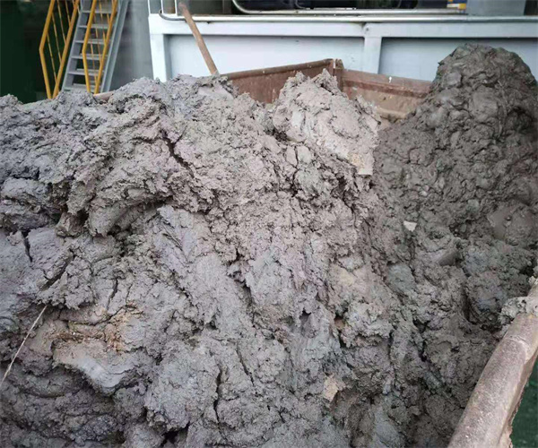 初淀污泥高低位發熱量檢測 污泥危廢鑒定檢測