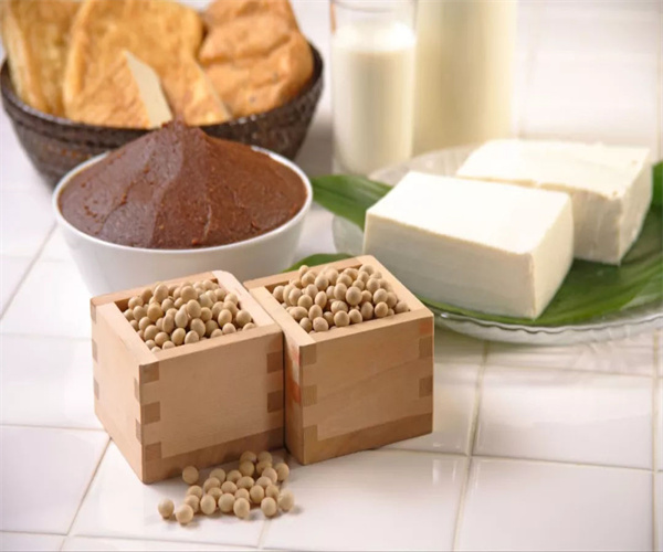 豆制品檢測哪里能做 豆制品微生物檢測