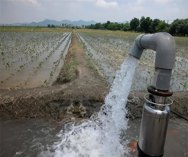 地下水硝酸鹽氮檢測 地下水氟化物檢測