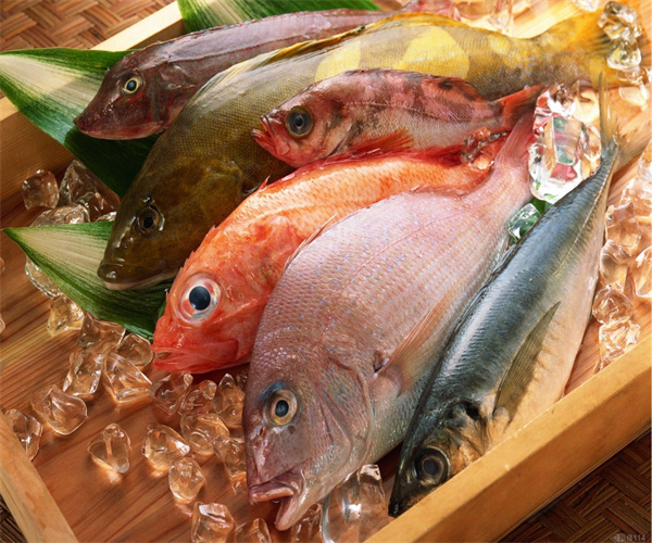 廣東省水產(chǎn)品檢測(cè)哪里能做 魚蝦貝類重金屬檢測(cè)