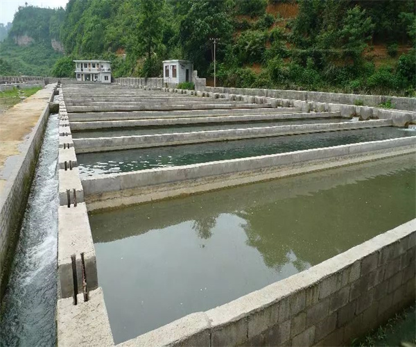 漁業水質氟化物檢測 漁業水質常規重金屬檢測