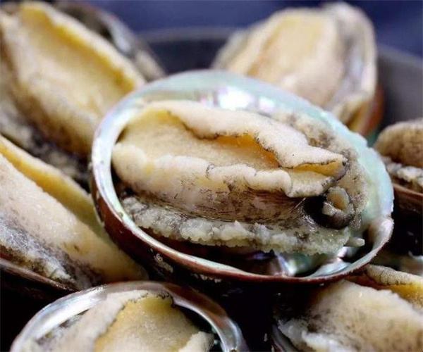 鮑魚污染物限量檢測 鮑魚菌落總數檢測