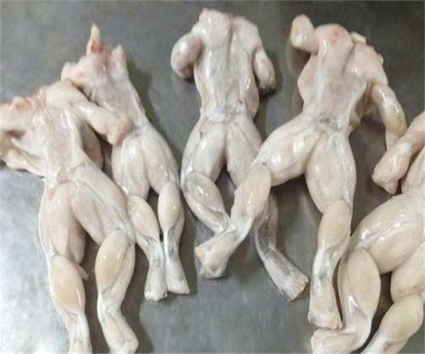 牛蛙獸藥殘留檢測 牛蛙沙門氏菌檢測