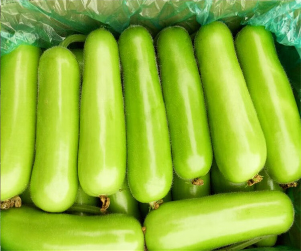 瓜類蔬菜農藥殘留檢測 瓜類蔬菜膳食纖維檢測