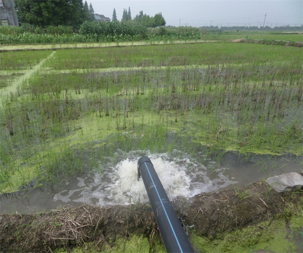 灌溉水質微量元素檢測 灌溉水質重金屬指標化驗