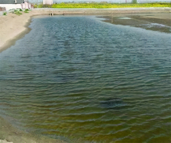 漁業水質重金屬指標檢測 漁業水質農藥殘留檢測