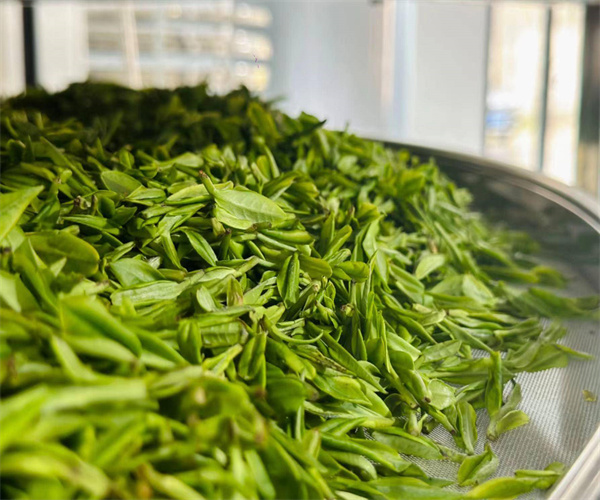 茶葉農藥殘留檢測 茶葉微生物指標檢測