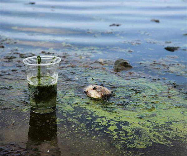 工業廢水磷酸鹽檢測 工業廢水石油類檢測