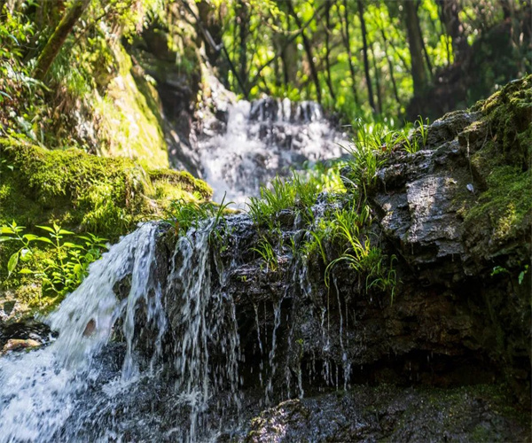 山泉水常規項目檢測 山泉水微生物指標檢測