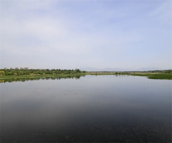 地表水總磷檢測 地表水總氮檢測單位