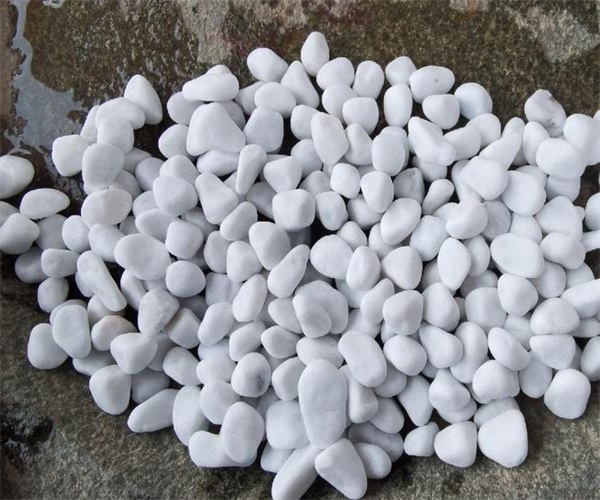 礫石化學成分分析 礫石耐磨性測試