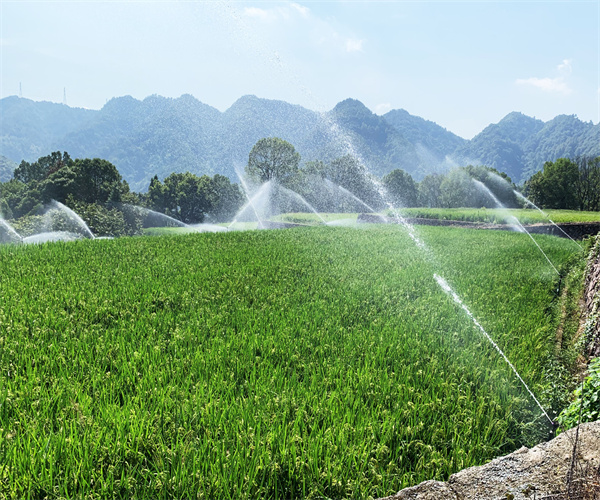 灌溉水源蛔蟲卵數(shù)檢測 糞大腸菌群數(shù)檢測
