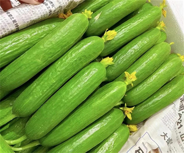 瓜類蔬菜檢測(cè)多少錢(qián) 瓜類蔬菜重金屬檢測(cè)機(jī)構(gòu)