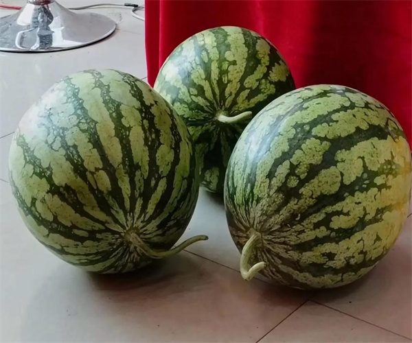 西瓜感官指標檢測 西瓜農藥殘留檢測中心