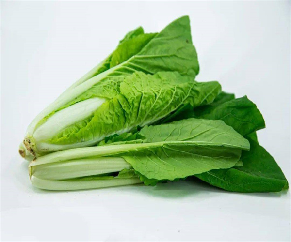 小白菜重金屬檢測 小白菜微生物檢測多少錢