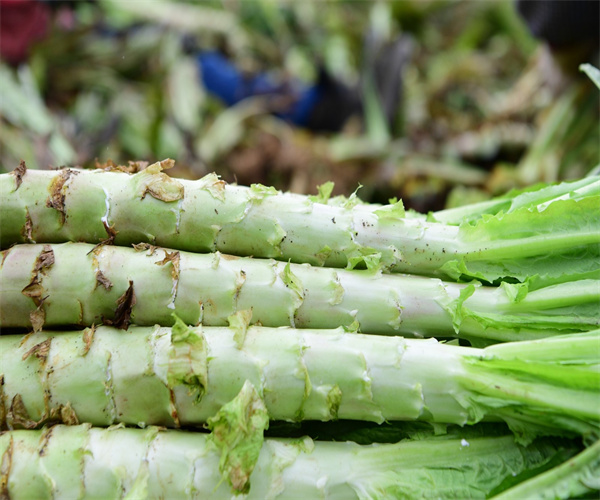 萵筍重金屬含量檢測(cè) 萵筍食品添加劑檢測(cè)單位