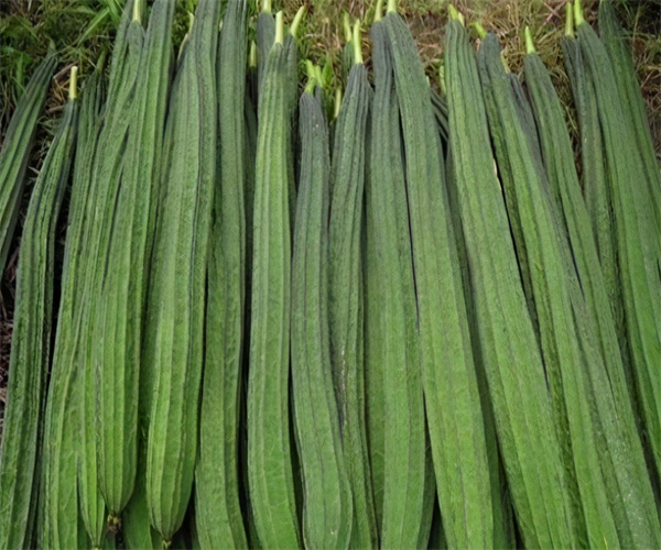 絲瓜重金屬含量檢測(cè) 絲瓜微量元素檢測(cè)去哪里做