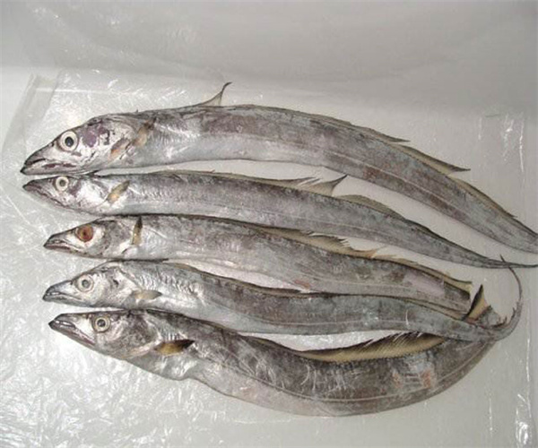 帶魚有機磷農藥檢測 帶魚獸藥殘留檢測中心