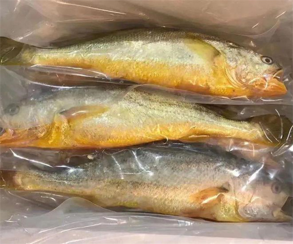 大黃魚孔雀石綠檢測 大黃魚氯霉素檢測多少錢