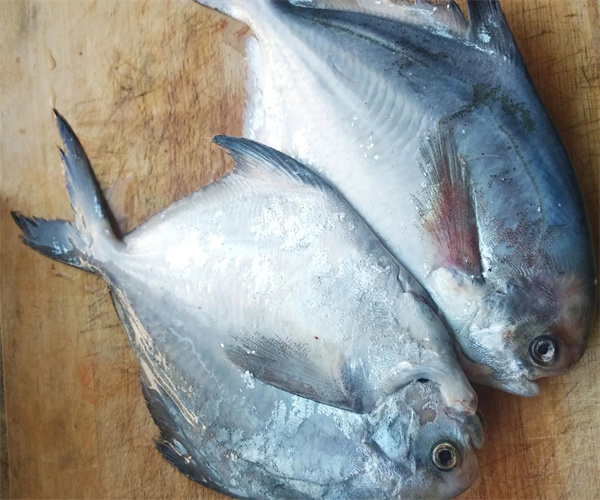 海魚重金屬含量檢測 海魚微生物檢測中心
