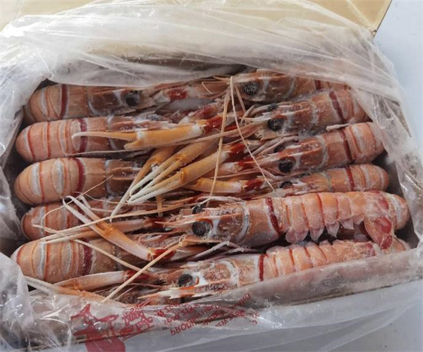 鰲蝦孔雀石綠檢測 鰲蝦磺胺類藥物檢測多少錢