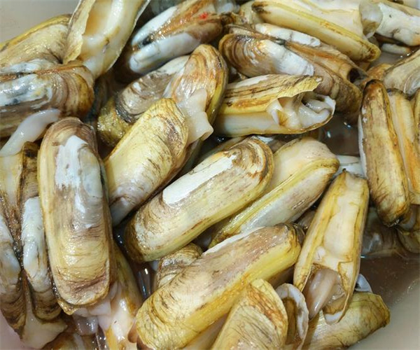 蟶子重金屬污染檢測 蟶子獸藥殘留檢測中心