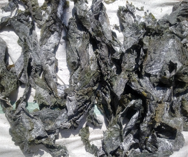 干海帶鹽分檢測 干海帶灰分含量檢測去哪里做
