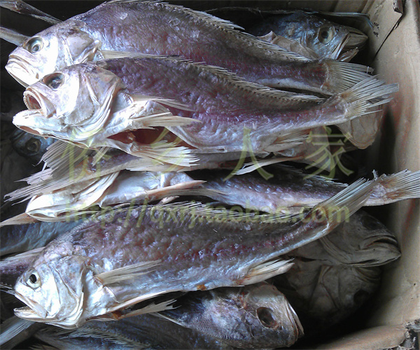 咸魚干揮發(fā)性鹽基氮檢測 咸魚干酸價檢測機構(gòu)
