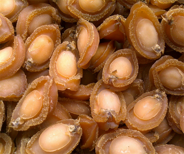 鮑魚干灰分含量檢測(cè) 鮑魚干鹽分檢測(cè)去哪里做