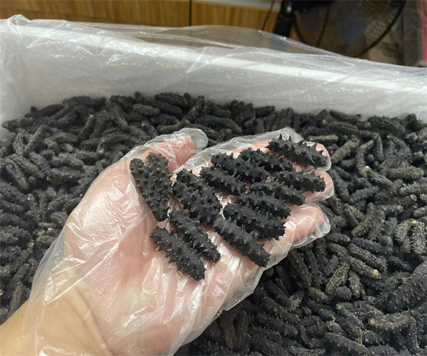 干海參水分含量檢測(cè) 干海參鹽分檢測(cè)多少錢