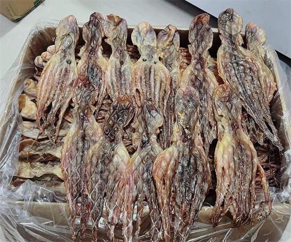 章魚干氯化物檢測(cè) 章魚干酸價(jià)檢測(cè)去哪里做