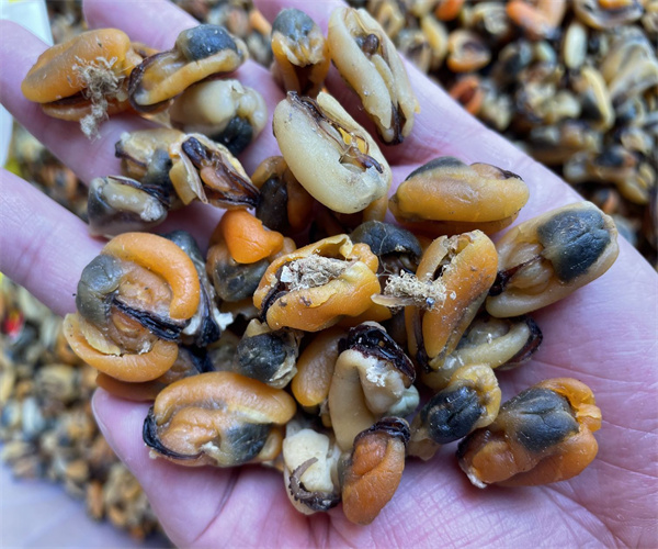 淡菜干細(xì)菌總數(shù)檢測(cè) 淡菜干致病菌檢測(cè)去哪里做