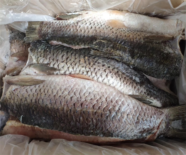 青魚干蛋白質(zhì)含量檢測(cè) 青魚干脂肪含量檢測(cè)單位