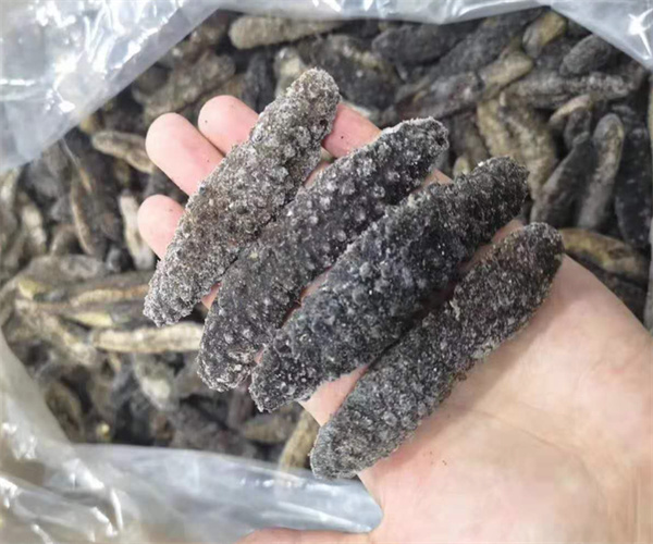 刺參鹽分含量檢測(cè) 刺參蛋白質(zhì)含量檢測(cè)多少錢