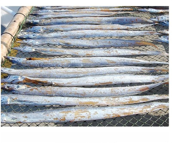 咸帶魚酸價(jià)檢測(cè) 咸帶魚過氧化值檢測(cè)多少錢