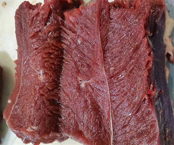 驢肉脂肪含量檢測 驢肉微量元素化驗多少錢