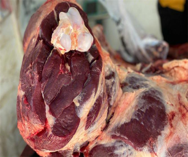 牦牛肉脂肪含量檢測 牦牛肉灰分含量檢測去哪里做