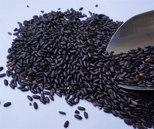 黑米雜質(zhì)含量檢測(cè) 黑米重金屬化驗(yàn)多少錢(qián)