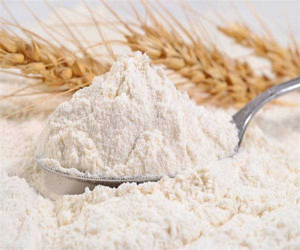 小麥粉蛋白質(zhì)含量檢測 小麥粉微生物檢測多少錢
