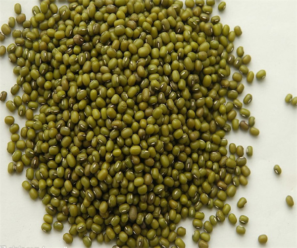 綠豆?fàn)I養(yǎng)成分分析 綠豆蛋白質(zhì)含量檢測去哪里做