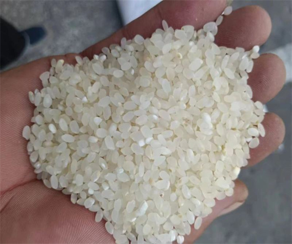 珍珠米淀粉含量檢測(cè) 珍珠米營(yíng)養(yǎng)成分分析哪里專業(yè)