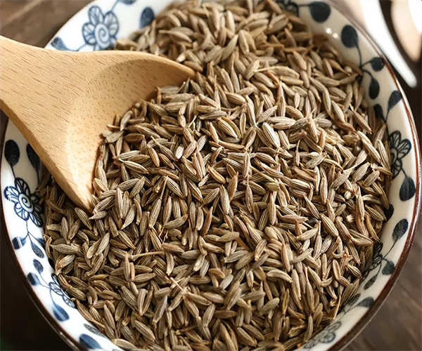 孜然灰分含量測(cè)定 孜然粗蛋白檢測(cè)多少錢