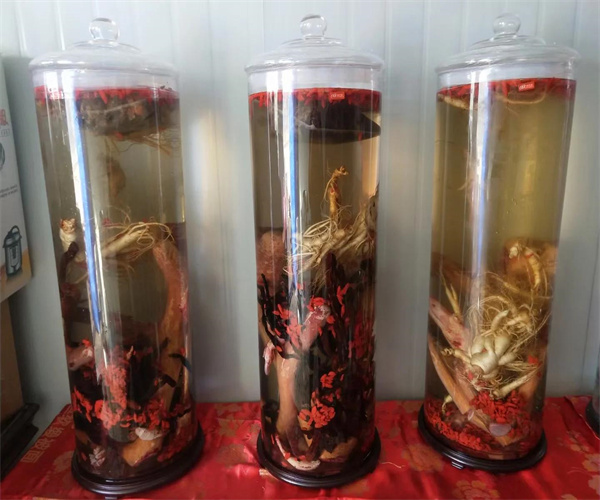 鹿茸酒甲醇含量檢測 鹿茸酒氰化物檢測哪里能做