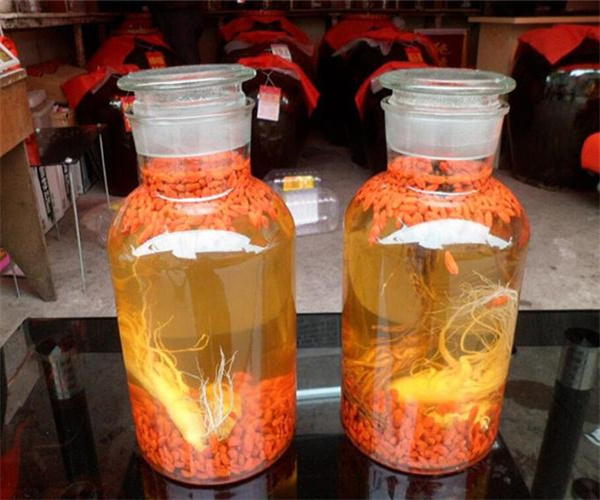 健腰補(bǔ)腎酒配方成分分析哪里能做