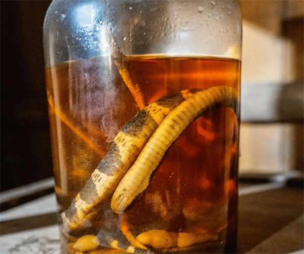 蛇酒氰化物檢測 蛇酒塑化劑檢測哪里能做
