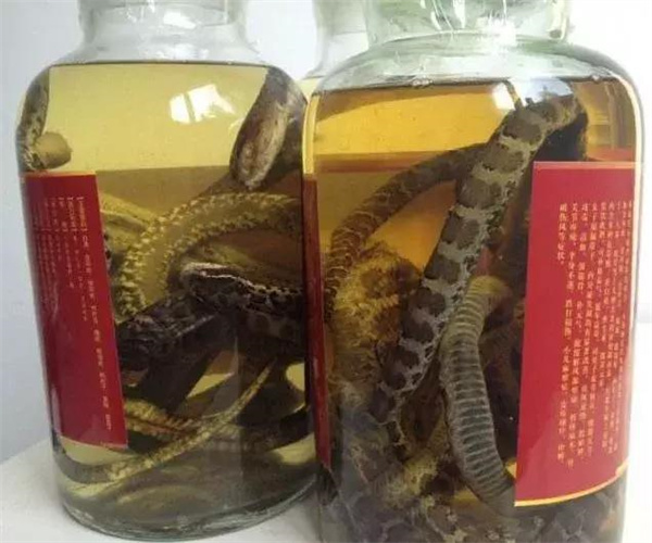 蛇膽酒氰化物檢測 蛇膽酒總酸檢測哪里專業(yè)