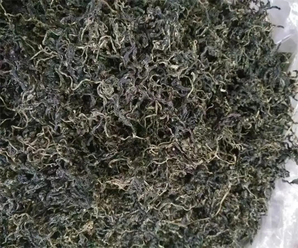 絞股藍茶總灰分檢測 絞股藍茶水浸出物檢測去哪做