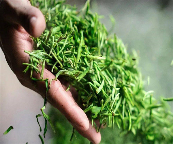 惠明茶水浸出物檢測 惠明茶粗纖維檢測哪里能做