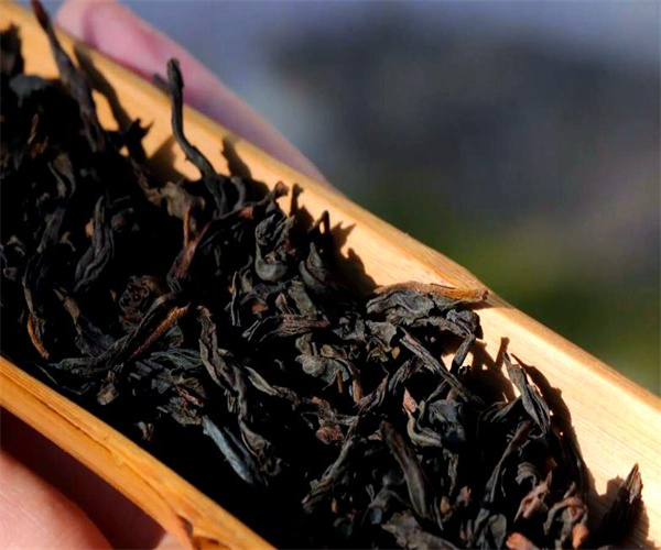 鐵羅漢茶活性成分分析 鐵羅漢茶茶多酚檢測去哪做