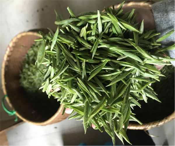 白眉茶水浸出物檢測 白眉茶粗纖維檢測多少錢